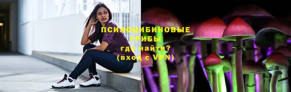 молекула духа Аркадак