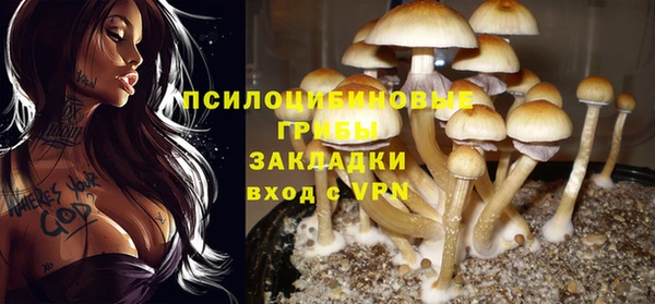 молекула духа Аркадак