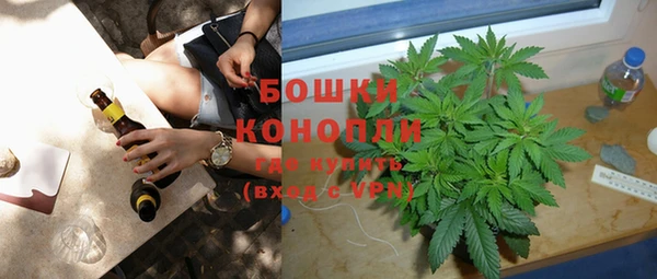 молекула духа Аркадак