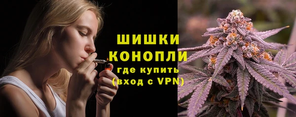 молекула духа Аркадак