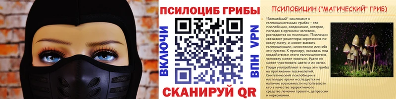 blacksprut маркетплейс  Краснообск  Галлюциногенные грибы Psilocybine cubensis 